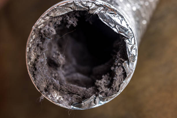 Best HVAC Duct Inspection Services  in Piedmont, AL